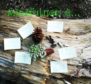 Mandala realizzati durante un incontro di Mindfulness in natura